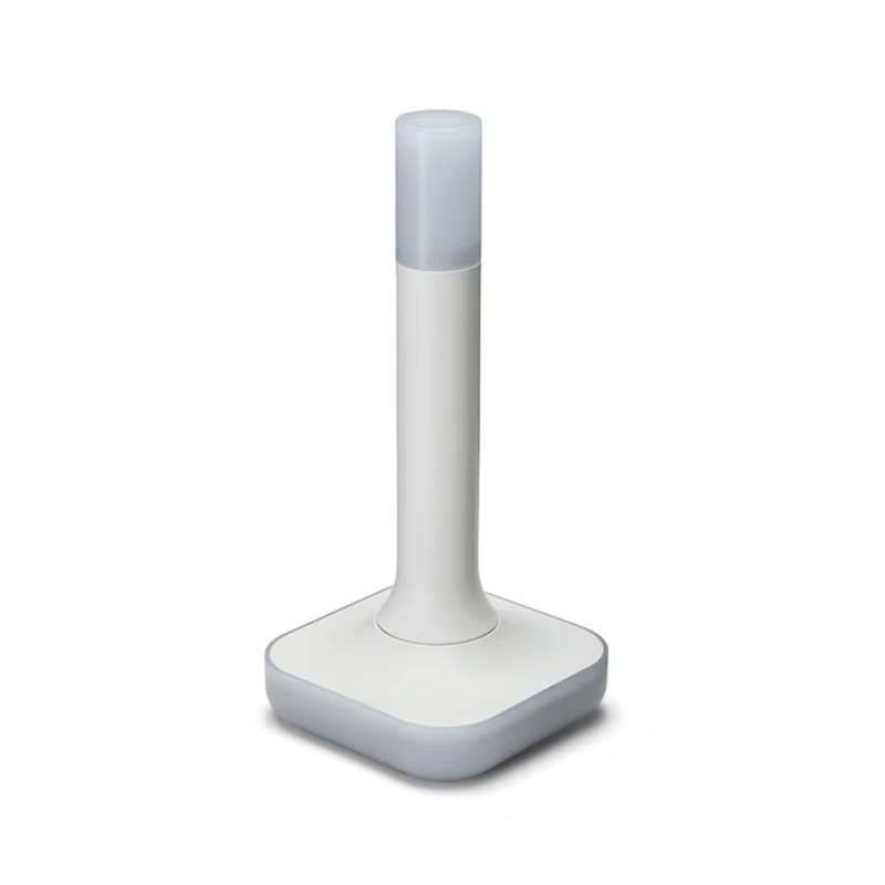 Matter Hub Thread - Asistente de hogar Connect ZBT-2 Compatible