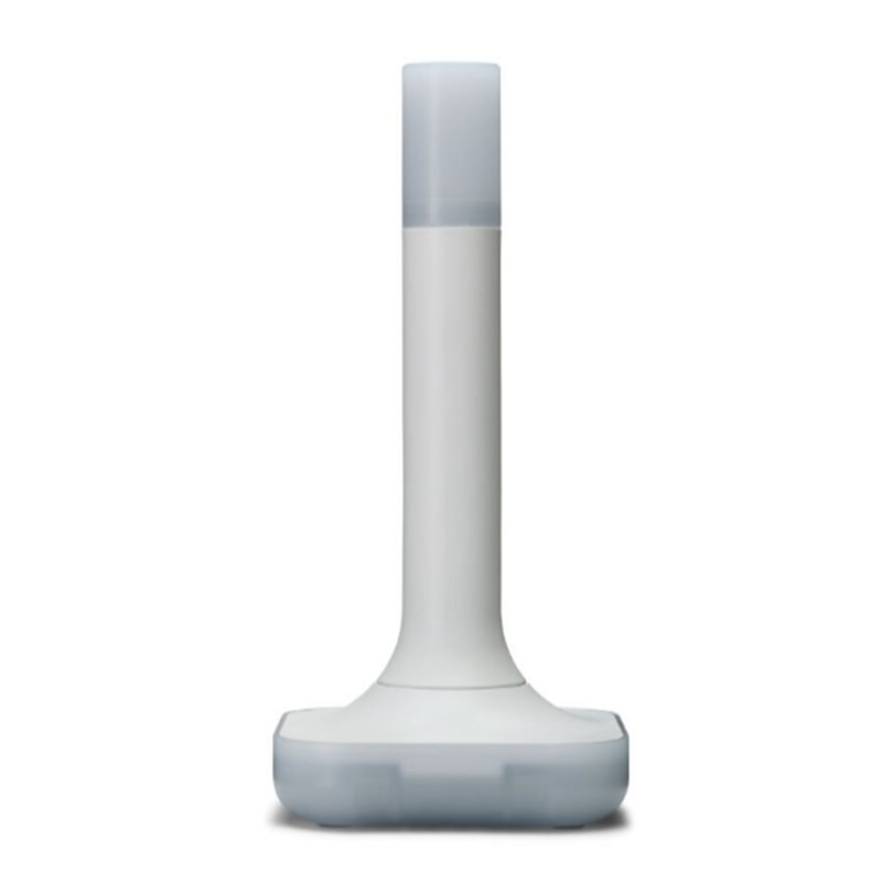 Asistente de hogar Connect ZBT - Matter Hub Thread reseña y precio