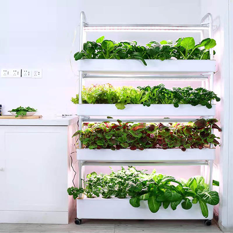 Sistema de plantación ydroponi - Home Automation Systems Diy reseña y precio