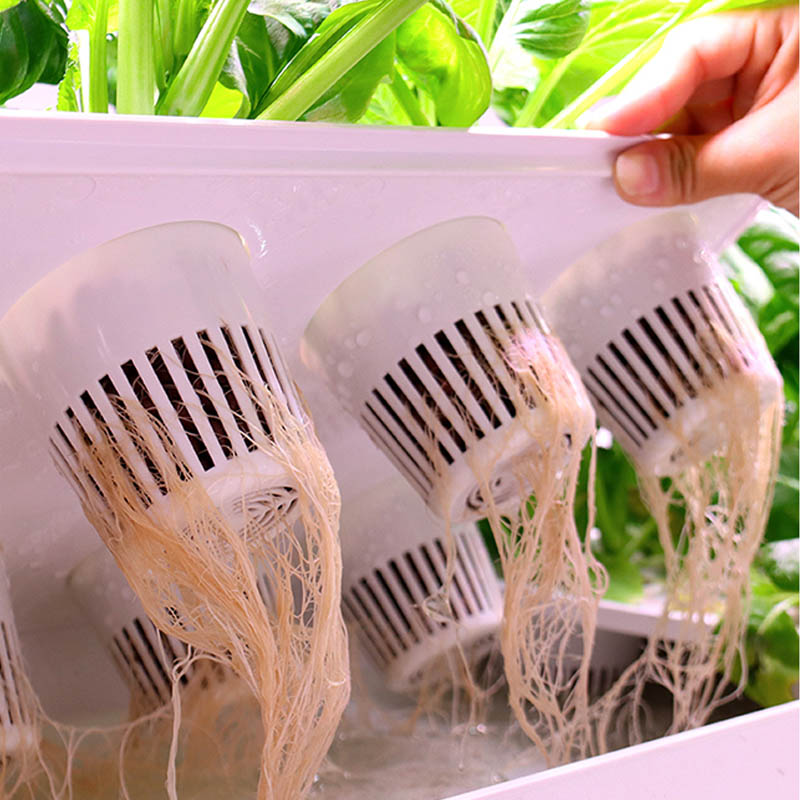 Sistema de plantación ydroponi - Home Automation Systems Diy reseña y precio