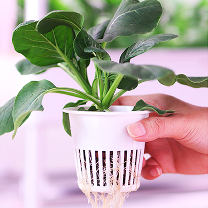 Sistema de plantación ydroponi - Home Automation Systems Diy reseña y precio